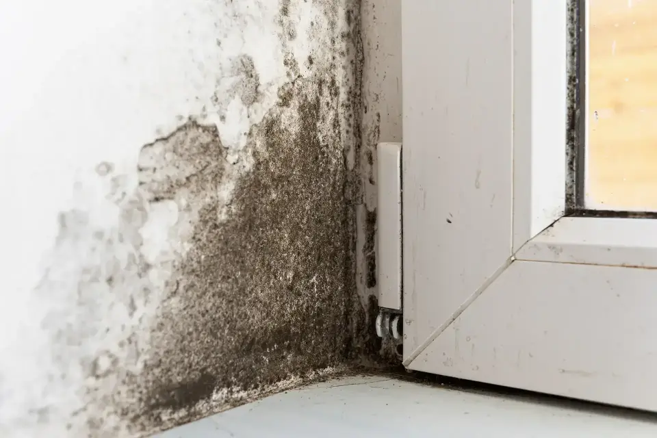 Restoring Peace of Mind After Unexpected Property Disasters — Gilbert, AZ