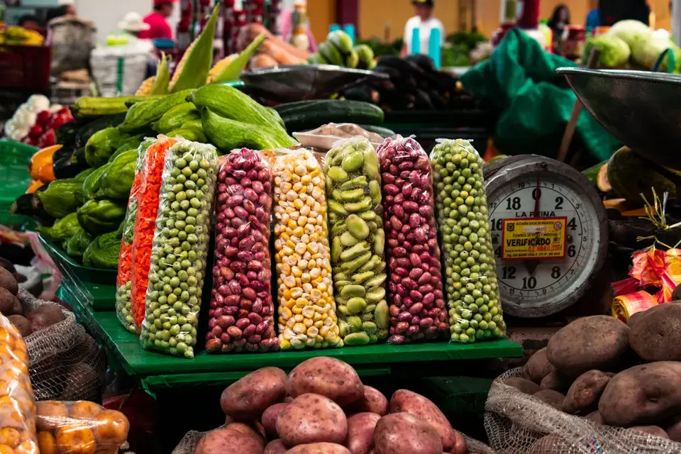 Preserving Scottsdale's Local Treasures in Scottsdale